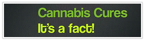 cannabis_cures.jpg