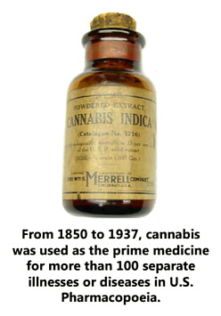 cannabis_medicine.jpg