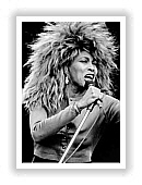  Tina Turner 