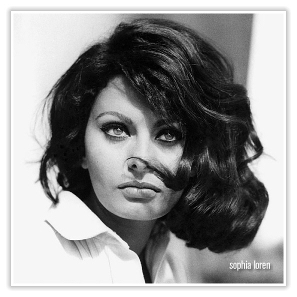  Sophia Loren 1 