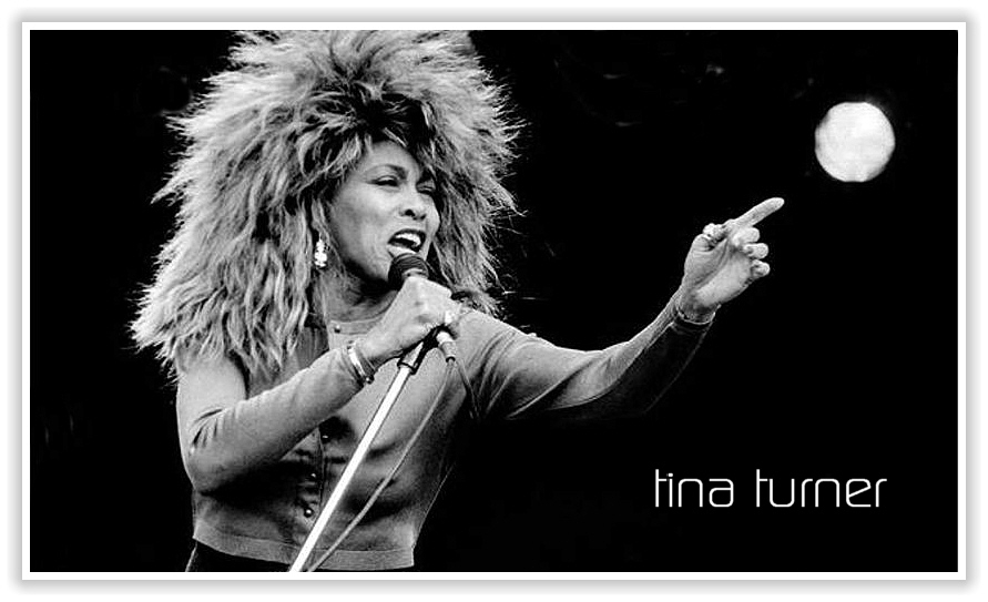  Tina Turner 
