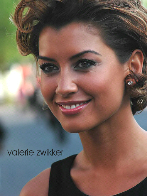 Valerie Zwikker Gallery